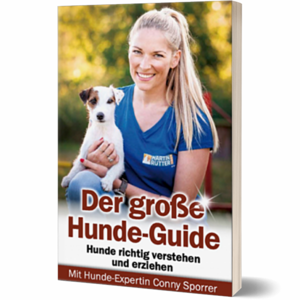 Der große Hunde-Guide Vorschau