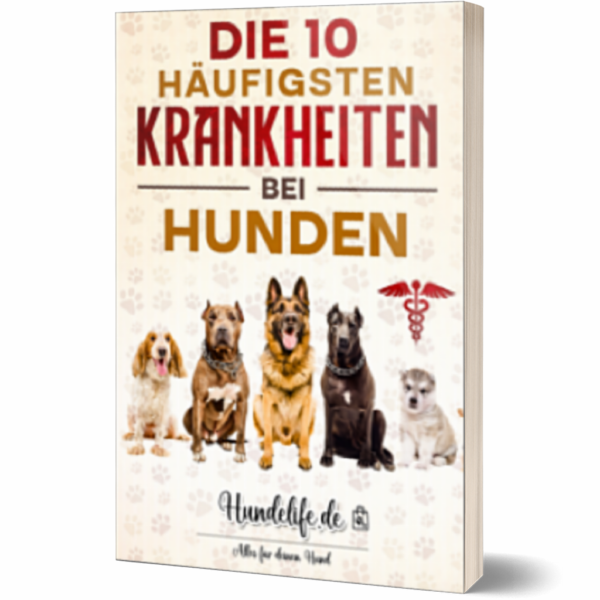 Pfotenabdruck Set Vorschau