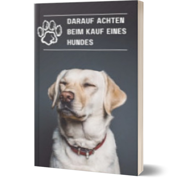 Profi Guide für Hundekäufer Vorschau